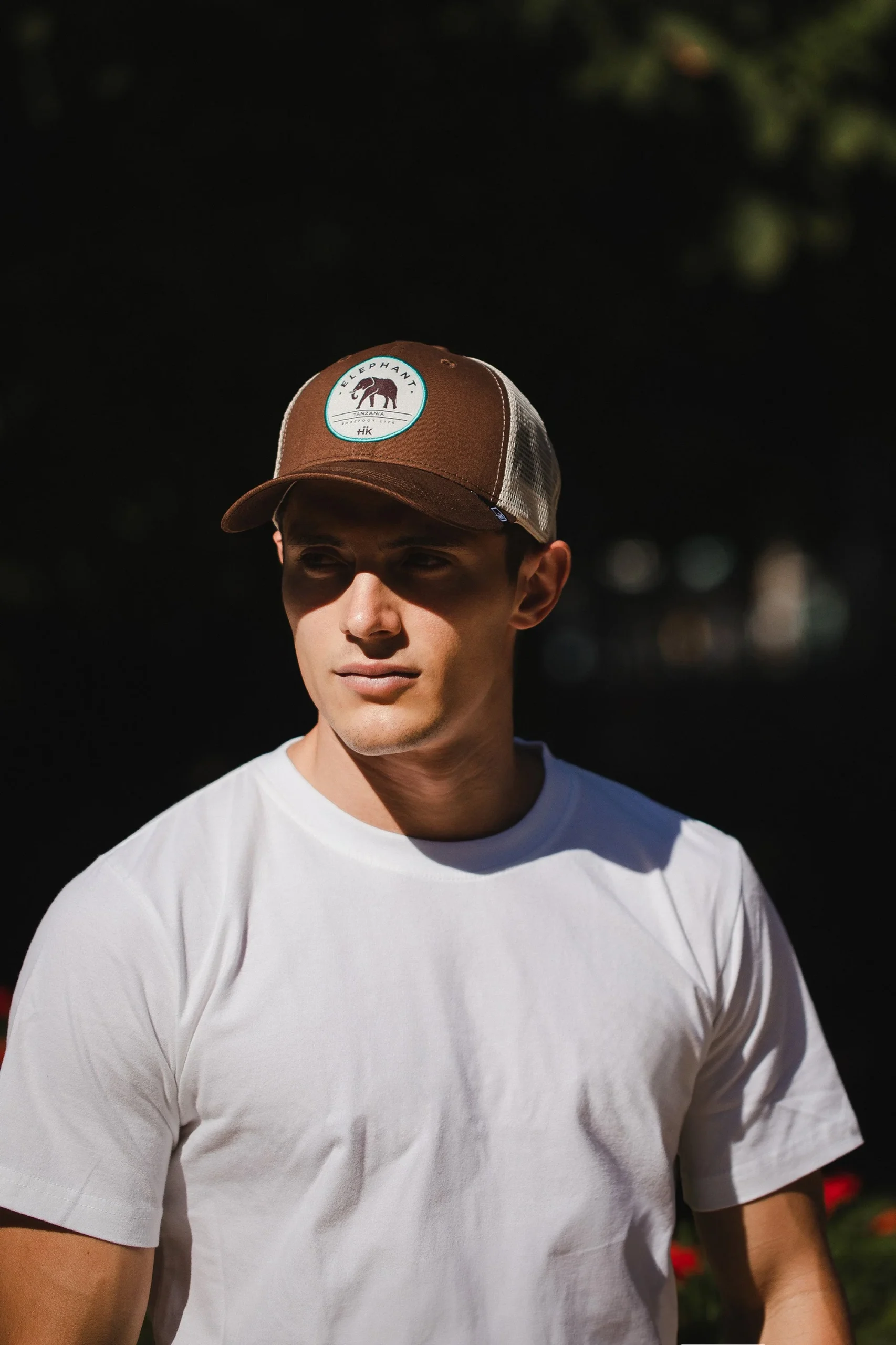 Elephant Truck Brown – Image 7