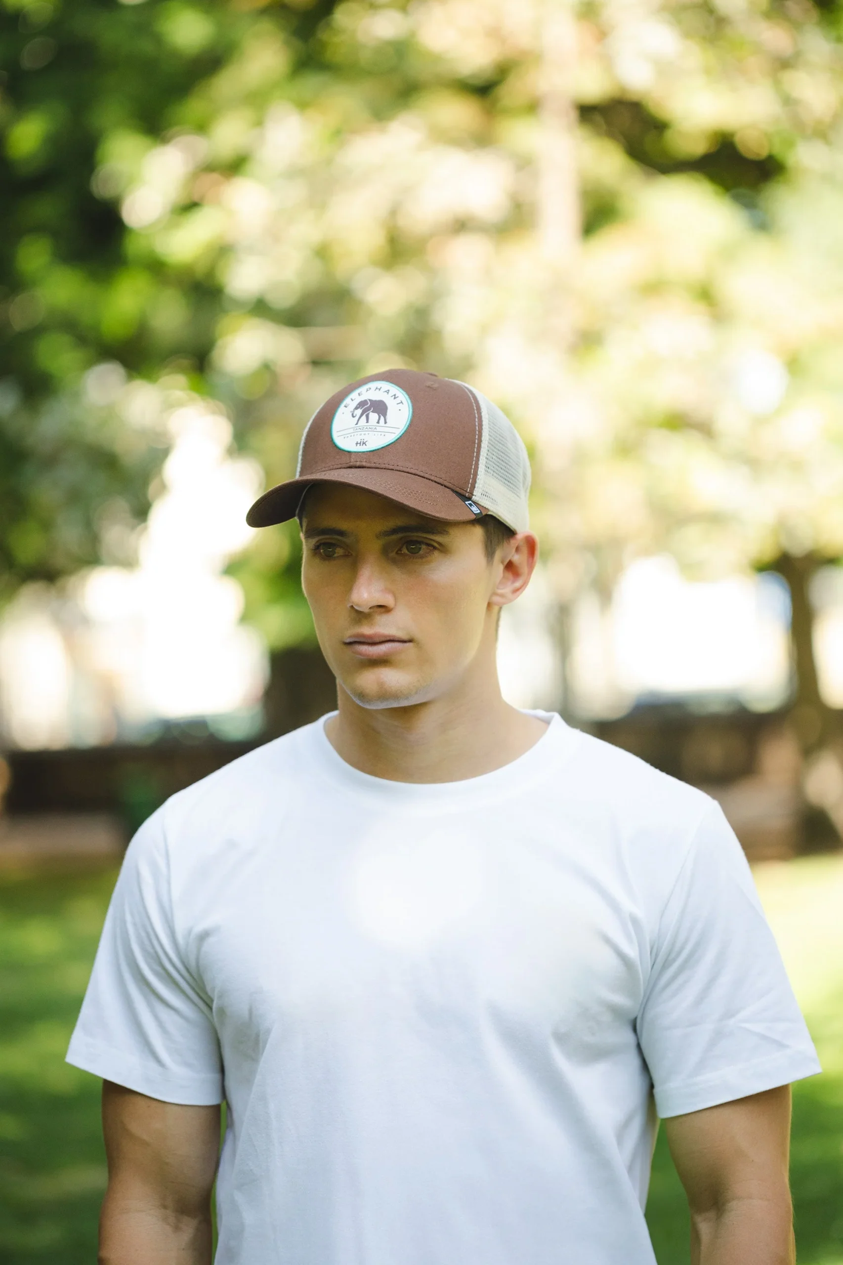 Elephant Truck Brown – Image 8