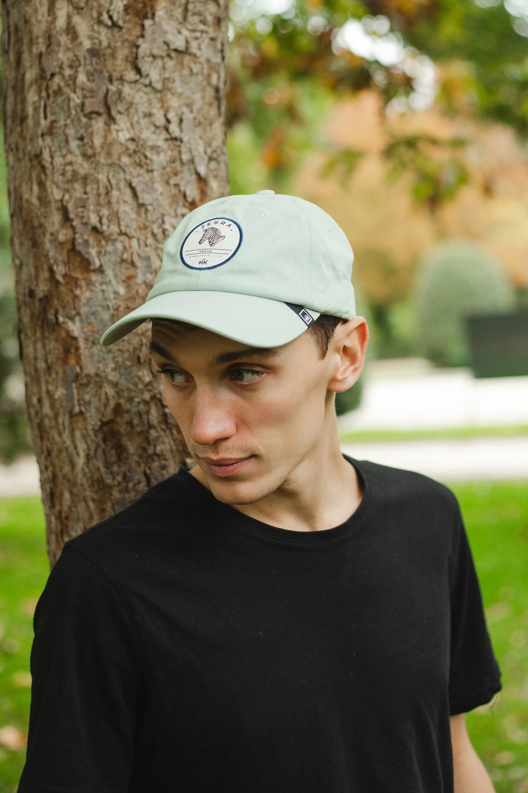 Zebra Green / Blue – Image 5