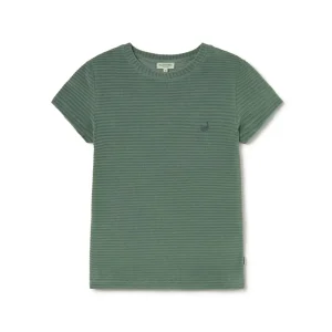 Ariadna - Dusty Green