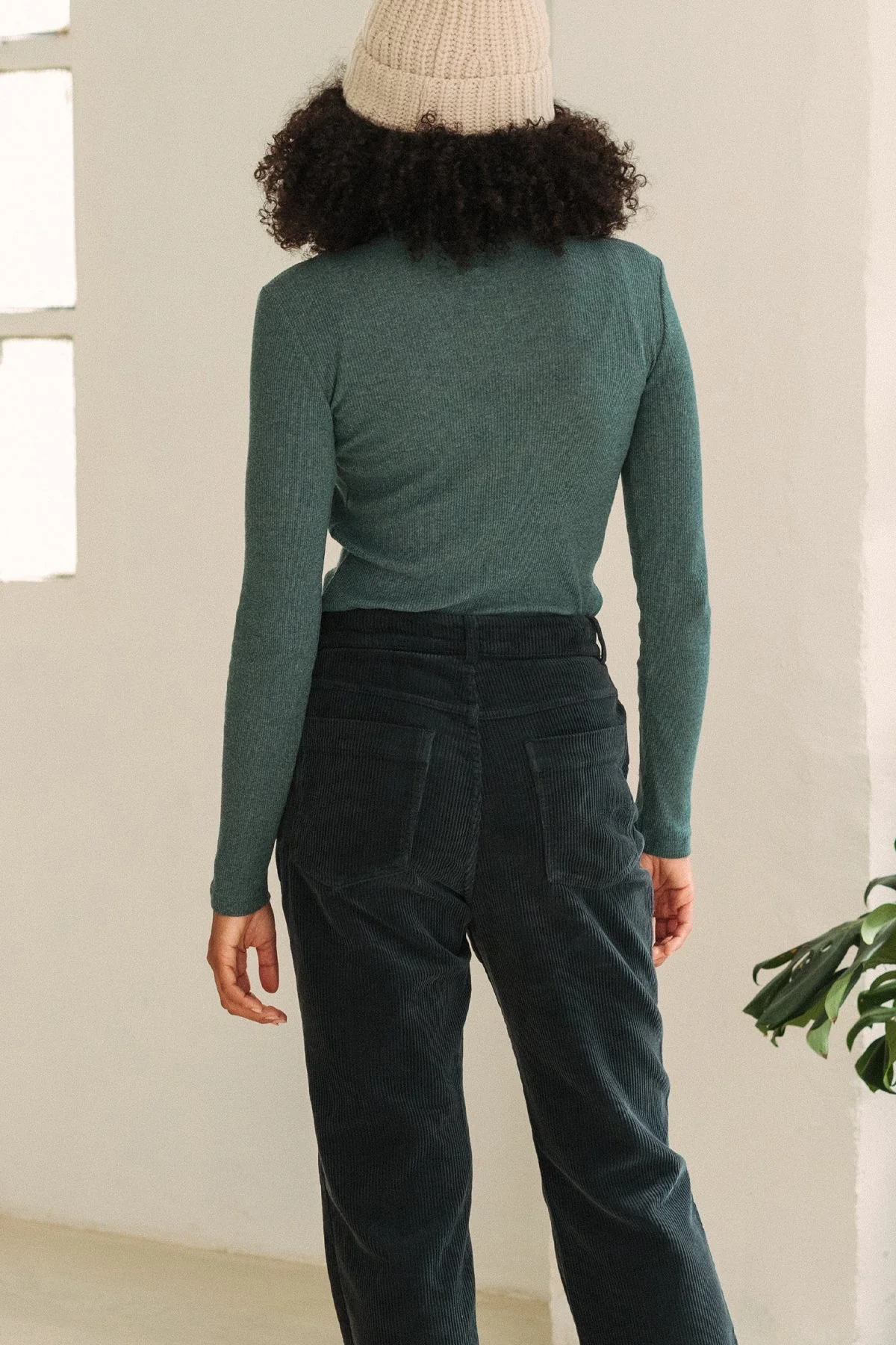 Canna - Mediterranean Green – Image 6