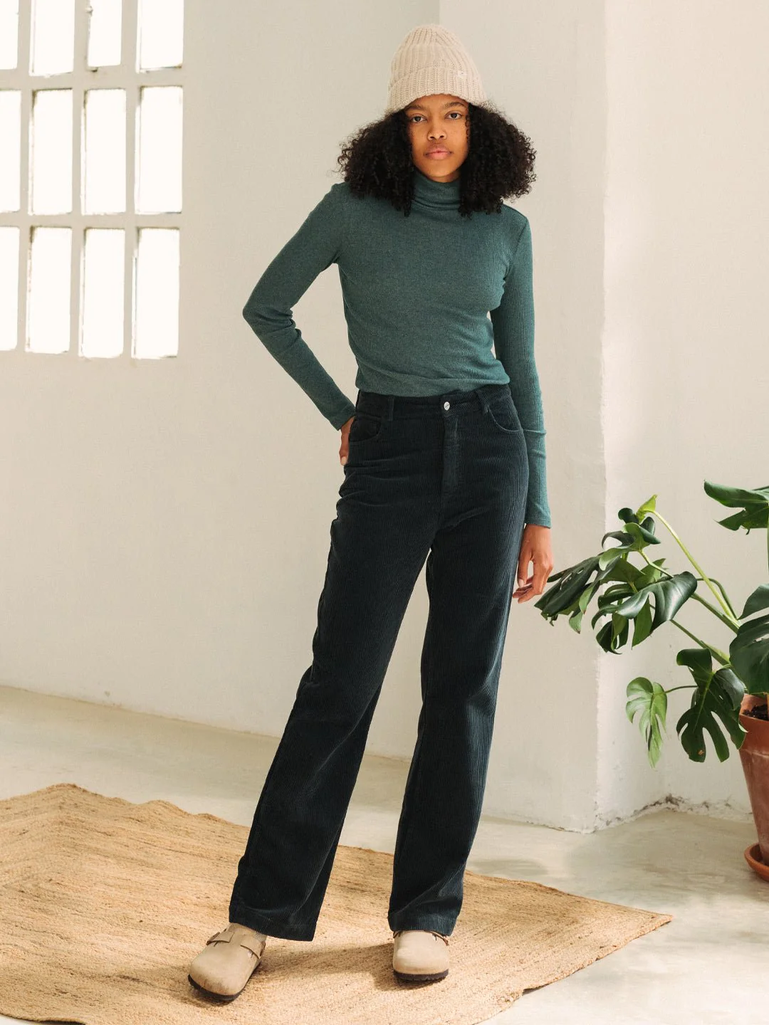 Canna - Mediterranean Green – Image 5