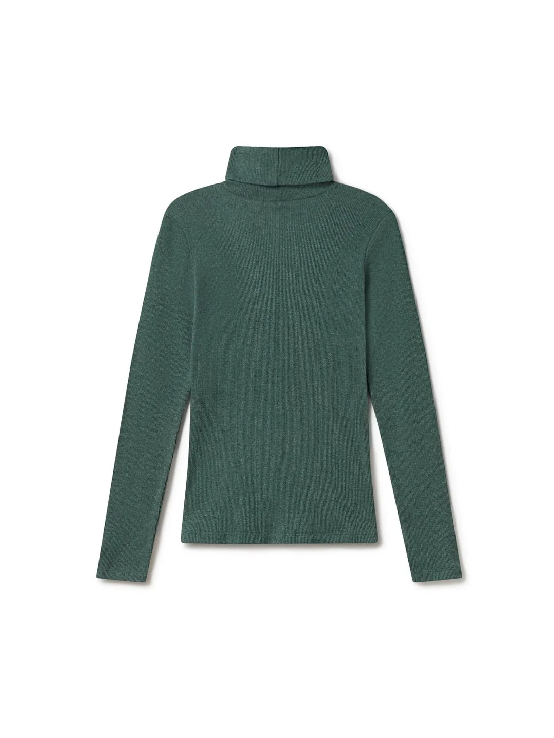 Canna - Mediterranean Green – Image 3