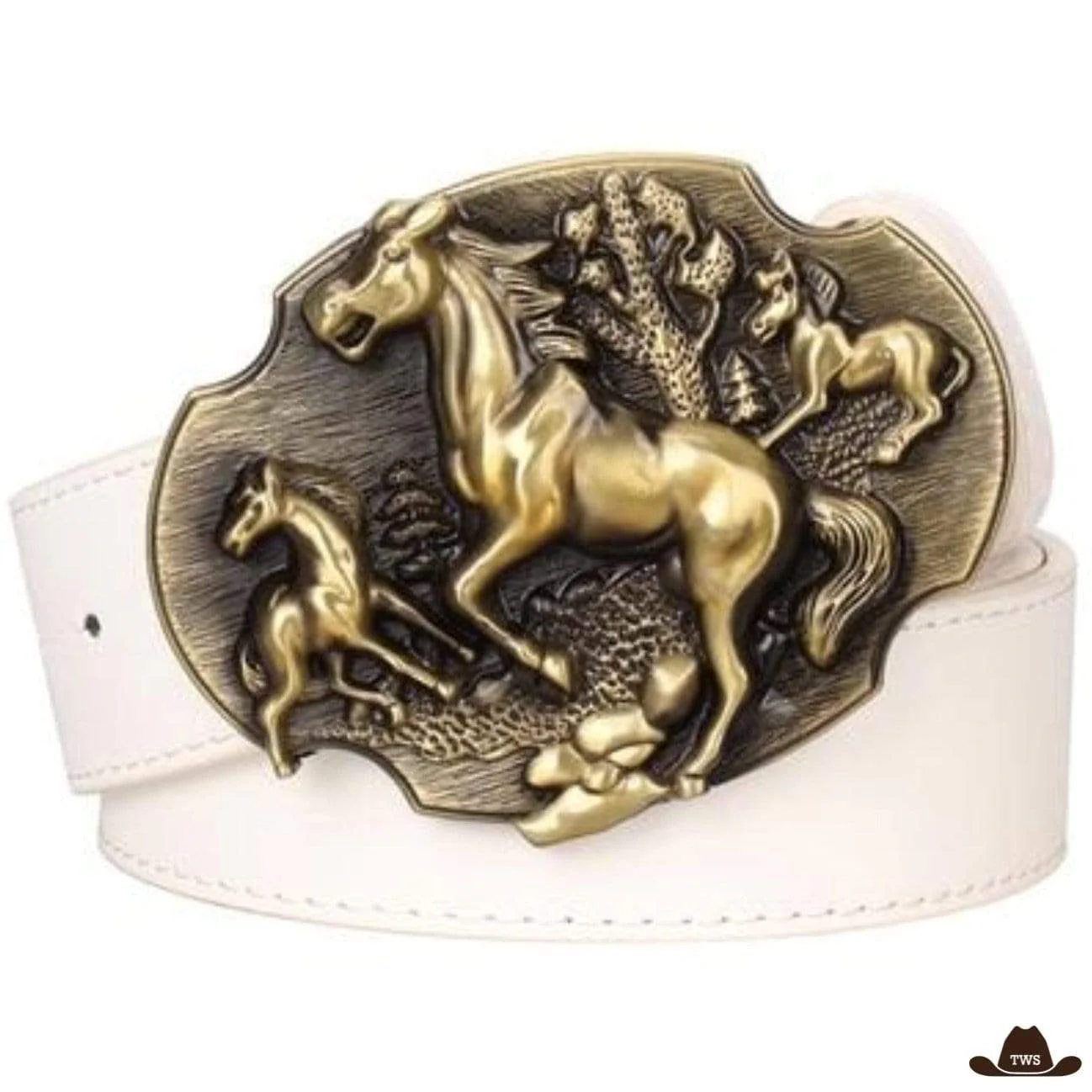 Ceinture de Western en Cuir – Image 4