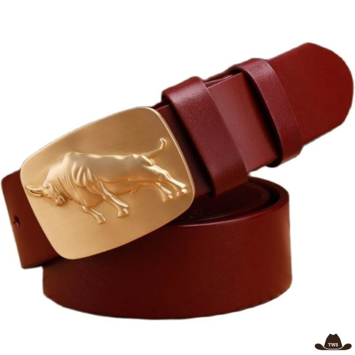 Ceinture de Western Couleur Camel – Image 3