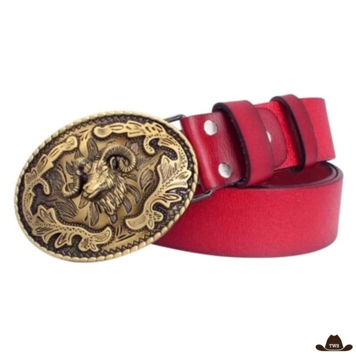 Ceinture en Cuir Motif Western – Image 6