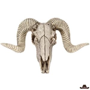 Crâne De Bélier En Résine