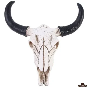 Crâne De Vache En Résine